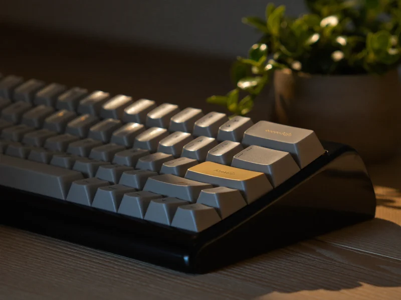 Makroaufnahme einer mechanischen Tastatur mit kleiner Zimmerpflanze im Hintergrund